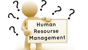 Unit 18 Human Resource Management Assignment Diageo and Ford 