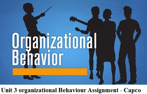 Unit 3 Organizational Behaviour Assignment - Capco