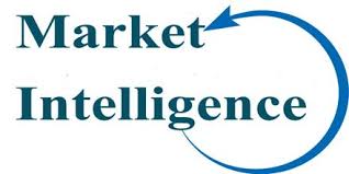 Unit 17 Marketing Intelligence and Research Assignment