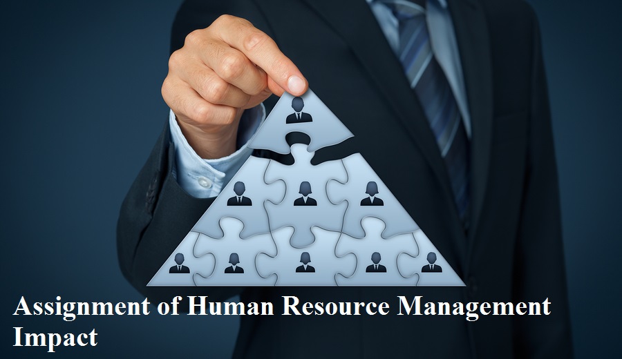 Assignment Human Resource Management Impact