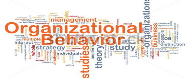 Unit 3 Organisational Behaviour Assignment - Capco structure