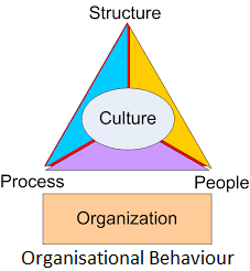 Unit 3 Organisational Behaviour Structure and Culture Assignment