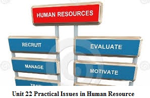 Unit 22 Practical Issues in Human Resource Assignment 