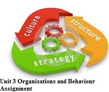 Unit 3 Organisations and Behaviour Assignment CAPCO and Albridge?