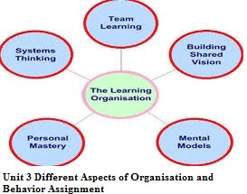 Unit 3 Different Aspects of Organisation and Behavior Assignment