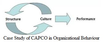 sony organizational behaviour sony organizational behaviour