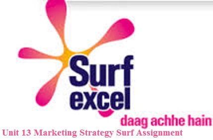 Unit 13 Marketing Strategy Surf Assignment