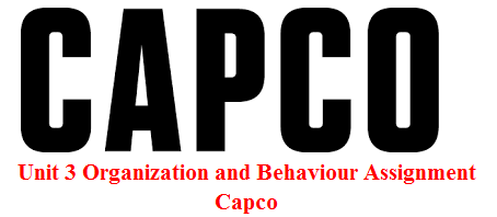 Unit 3 Organization and Behaviour Assignment - Capco