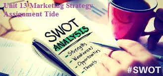 Unit 13 Marketing Strategy Assignment Tide