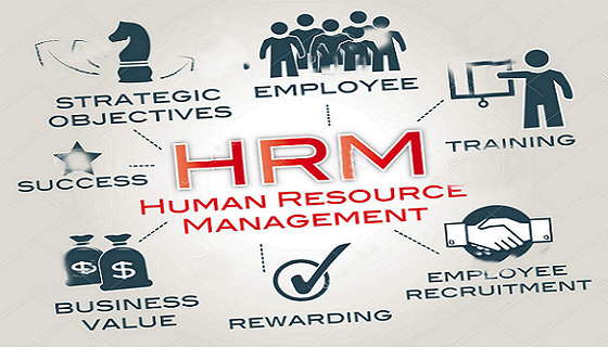 Unit 18 Guest Model in Managing Human Resources Assignment