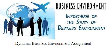 Unit 1 Impact of Dynamic Business Environment Assignment