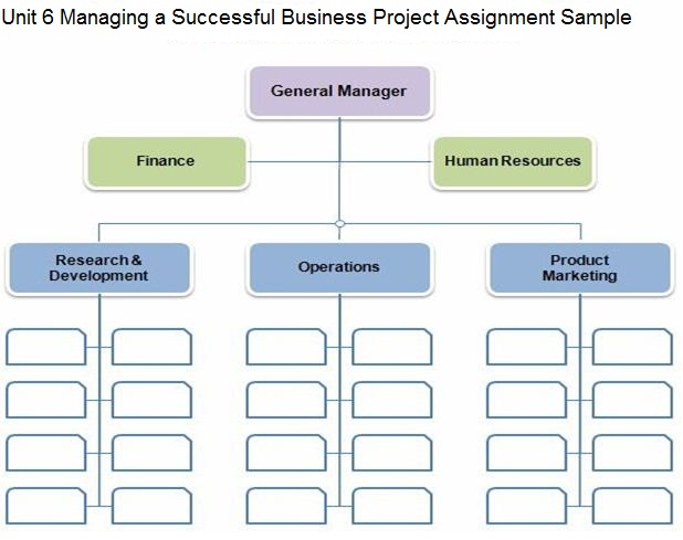Unit 6 Managing Successful Business Project Assignment Sample