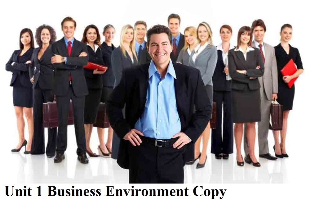 Unit 1 Business Environment Copy Assignment