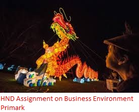 Assignment on Business Environment Primark