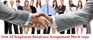 Unit 20 Employee Relations Assignment Merit copy
