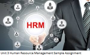 Unit 3 Human Resource Management Sample Assignment
