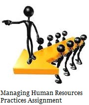 Managing Human Resources Practices Assignment