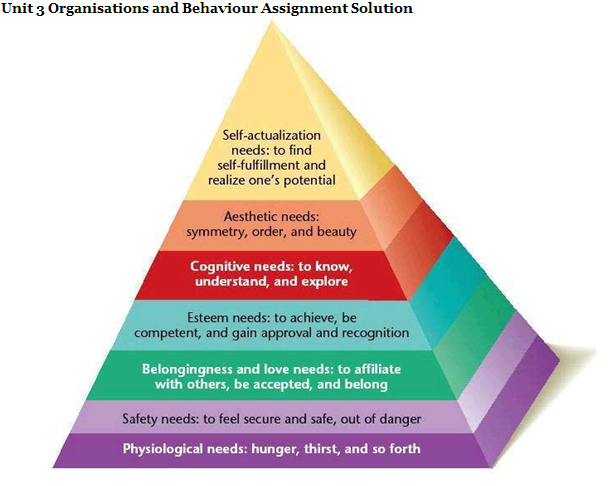 Unit 3 Organisations and Behaviour Assignment Solution