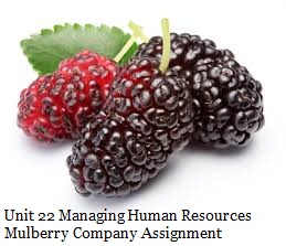 Unit 22 Managing Human Resources Mulberry Company Assignment