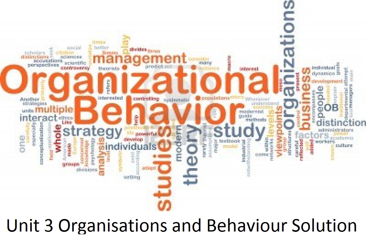 Unit 3 Organisations and Behaviour Solution