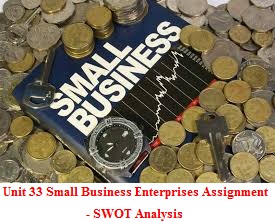Unit 33 Small Business Enterprises Assignment - SWOT Analysis