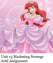 Marketing Strategy Ariel Assignment