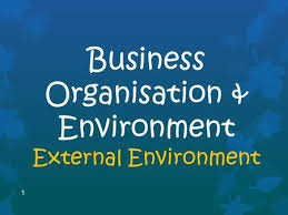 Unit 19 External Business Environment Assignment