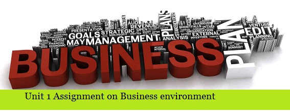 Assignment on Business environment