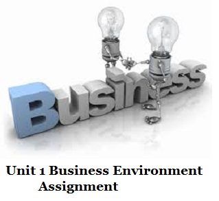 business environment assignment