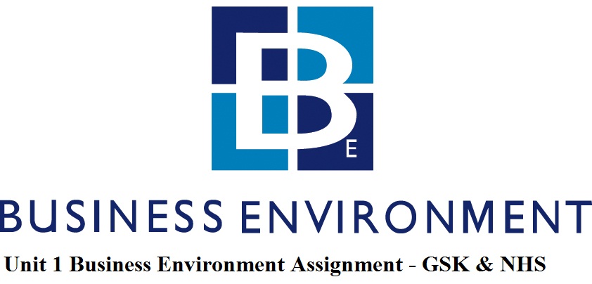 Unit 1 Business Environment Assignment - GSK & NHS