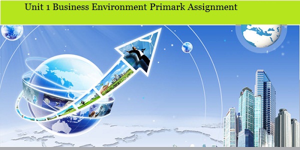 Business Environment Primark Assignment