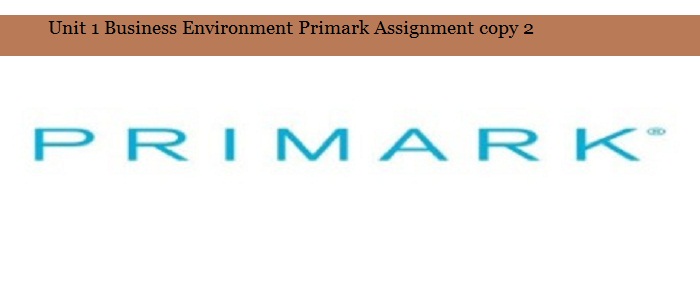 Business Environment Primark Assignment copy 2