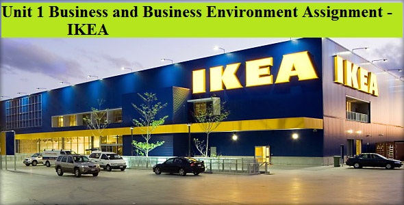 Business and Business Environment Assignment - IKEA