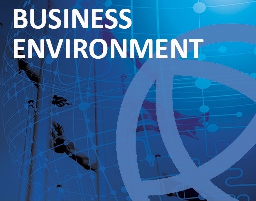 Micro and Macro Business Environment