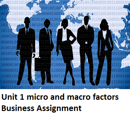 Unit 1 micro macro factors Business Assignment