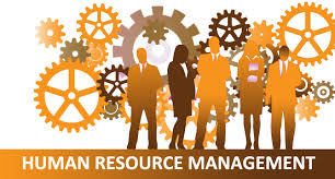  Managing Human resource Guest HRM Assignment 