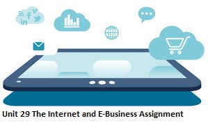 Unit 29 The Internet and E-Business Assignment