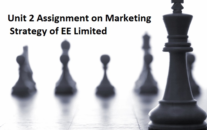 Unit 2 Assignment marketing strategy EE limited