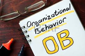 Unit 3 Assignment on Organization Behaviour