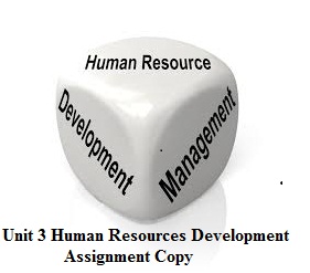 Unit 3 Human Resources Development Assignment Copy