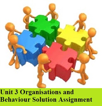 Assignment solution help