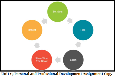 Unit 13 Personal and Professional Development Assignment Copy