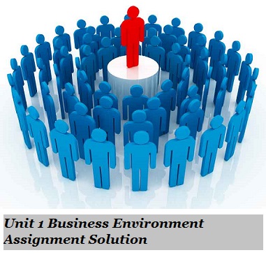 Business Environment Assignment Solution
