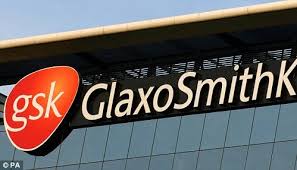 Unit 3 organisations and behaviour assignment gsk