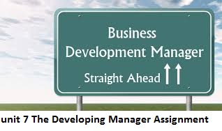 Unit 7 The Developing Manager Assignment Sample