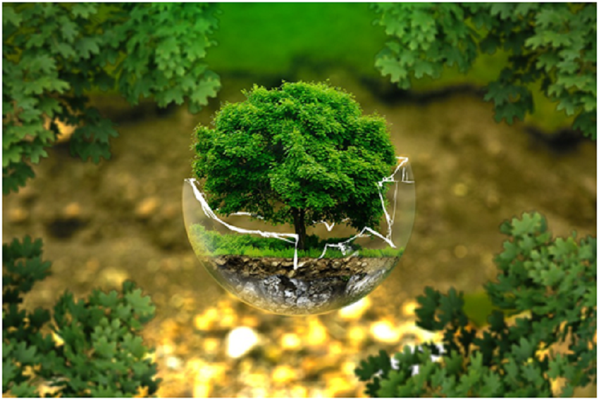 How to create sustainable lifestyle