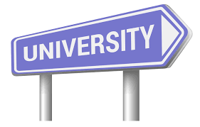What Factors Prevent Student Success At a University?
