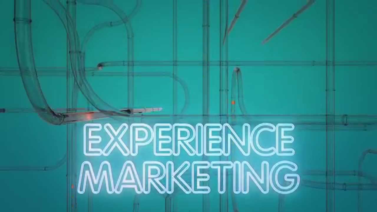 Industry Experience in Marketing Assignment