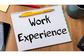Work Based Experience in Travel & Tourism Assignment
