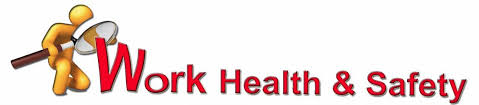 Work Health and Safety Management Issue Assignment